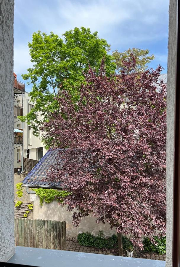 Apartment Hinterhaus *